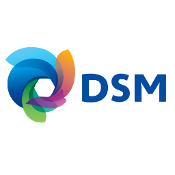 DSM expands solar portfolio with PV backsheet films