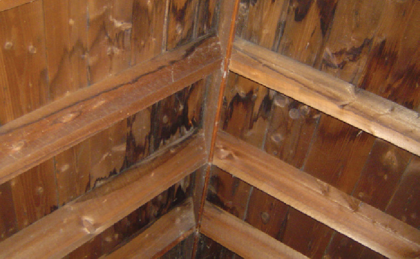 The sheathing of this roof is badly stained from leaks near the ridge. The sheathing and rafters will weaken over time and may need to be replaced.