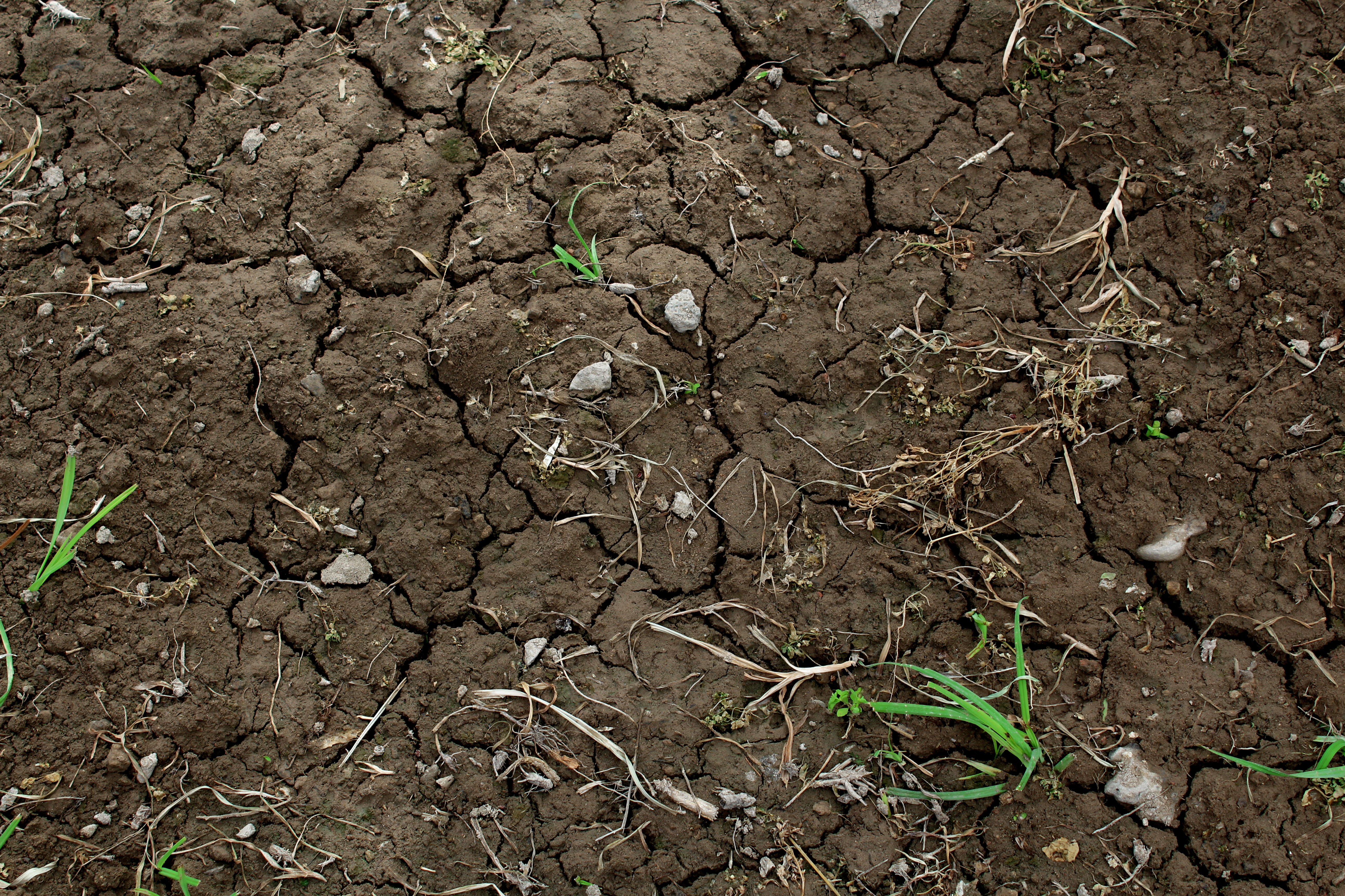 Где живет почва. Грунт Soil. Soil почва. Земля с травой. Плодородная земля.