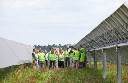 A group of people wearing high visual vests stand between two rows of ground-mounted solar panels.