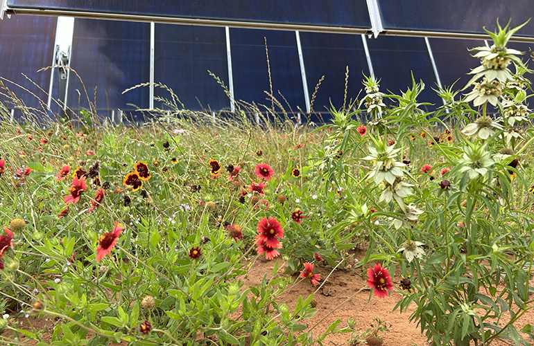 Stormwater controls for ground-mount solar projects