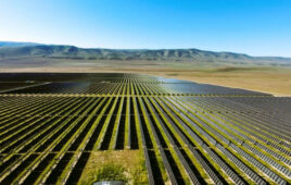 Washington solar project includes wildlife corridors and mix of pollinator-friendly plants